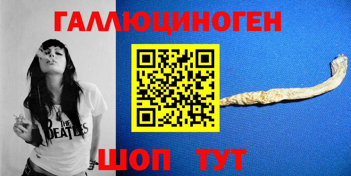 Псилоцибиновые грибы прущие грибы  даркнет сайт  Сегежа  Вход с VPN 